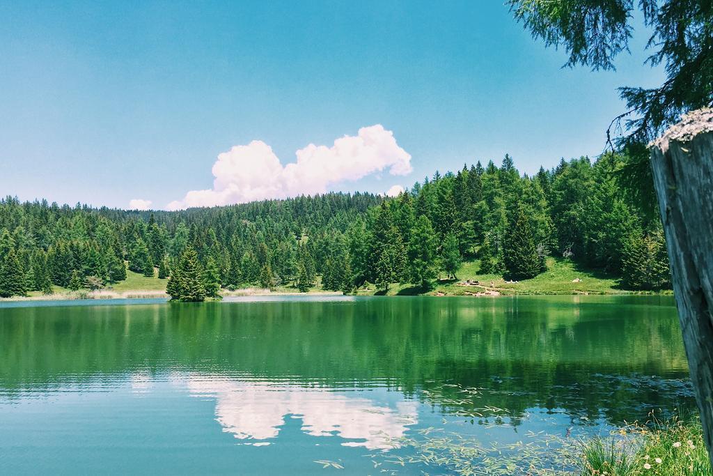 Berggasthof Pension Pfitscher Unsere Liebe Frau im Walde Exterior photo